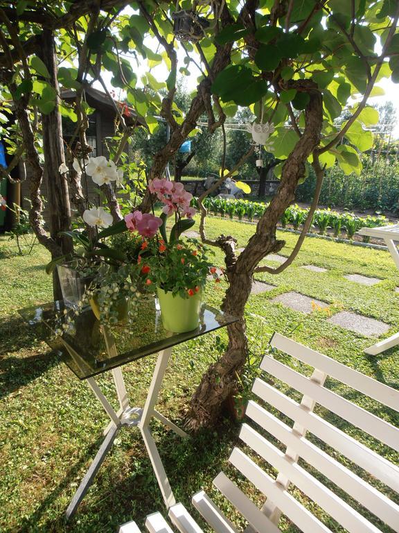 Ferienwohnung Il Volo Lucca Zimmer foto